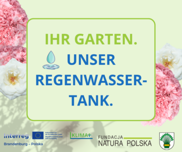 Jetzt mitmachen: KLIMA+ verlost Regenwassertanks für mehr Nachhaltigkeit