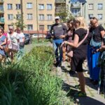 DOBRE PRAKTYKI W OCHRONIE KLIMATU – ZA NAMI POLSKO-NIEMIECKI WYJAZD STUDYJNY KLIMAT+