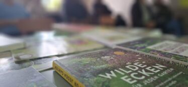Küstrin-Kietz gemeinsam gestalten – Ihre Ideen sind gefragt!